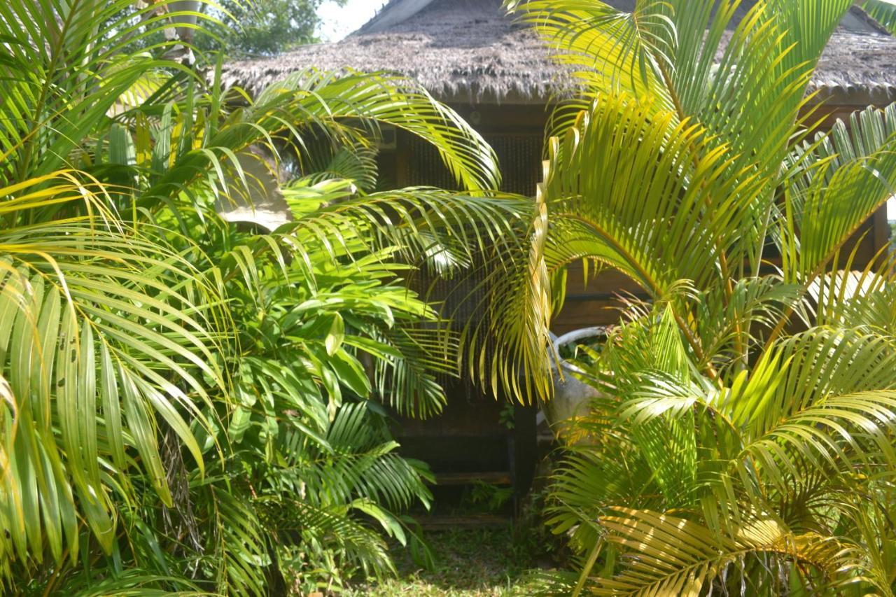 Hôtel Otres Jungle Bungalows à Sihanoukville Extérieur photo